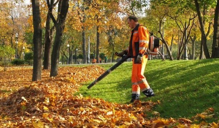 Sprzątanie terenu wokół Państwa domu”