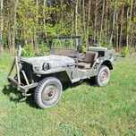 Jeep willys sprzedaż zamiana