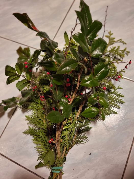 Żywe gałązki do bukietów, wiązanek, kompozycji