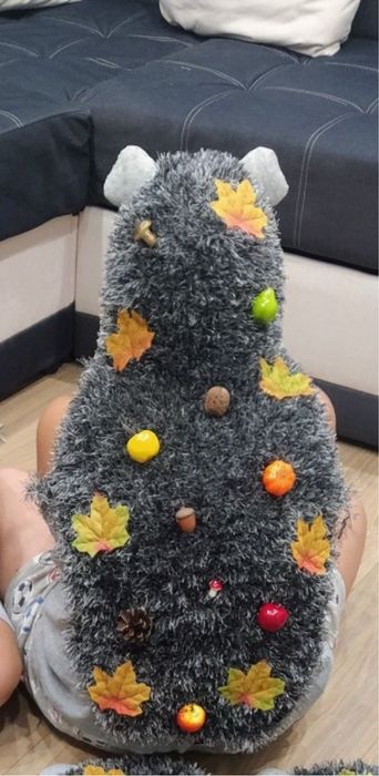 прокат костюм їжачка