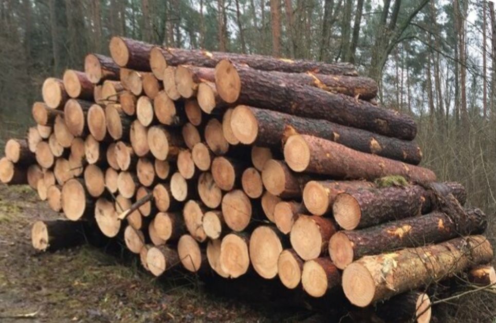 Drewno Kominkowe Drewno Opałowe