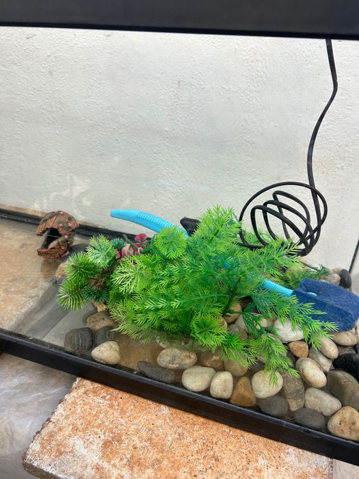 Aquário grande com equipamentos