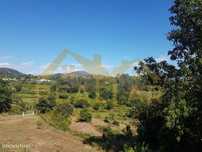 Terrenos + Moradia V3 em Vade - Vila Verde