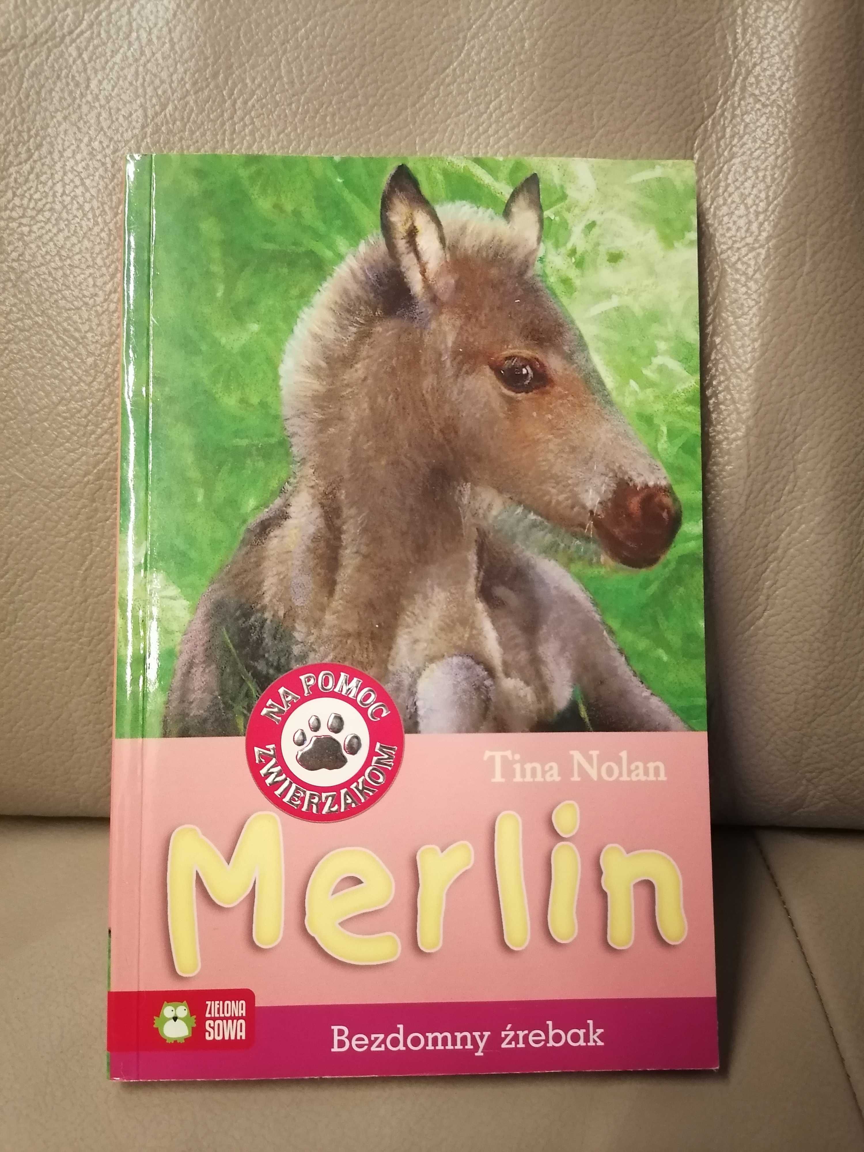 Książka Merlin bezdomny źrebak