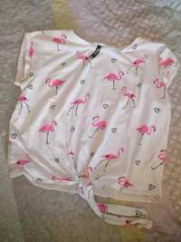 Bluzka z różowymi flamingami