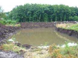 Kopanie stawów, usługi koparką