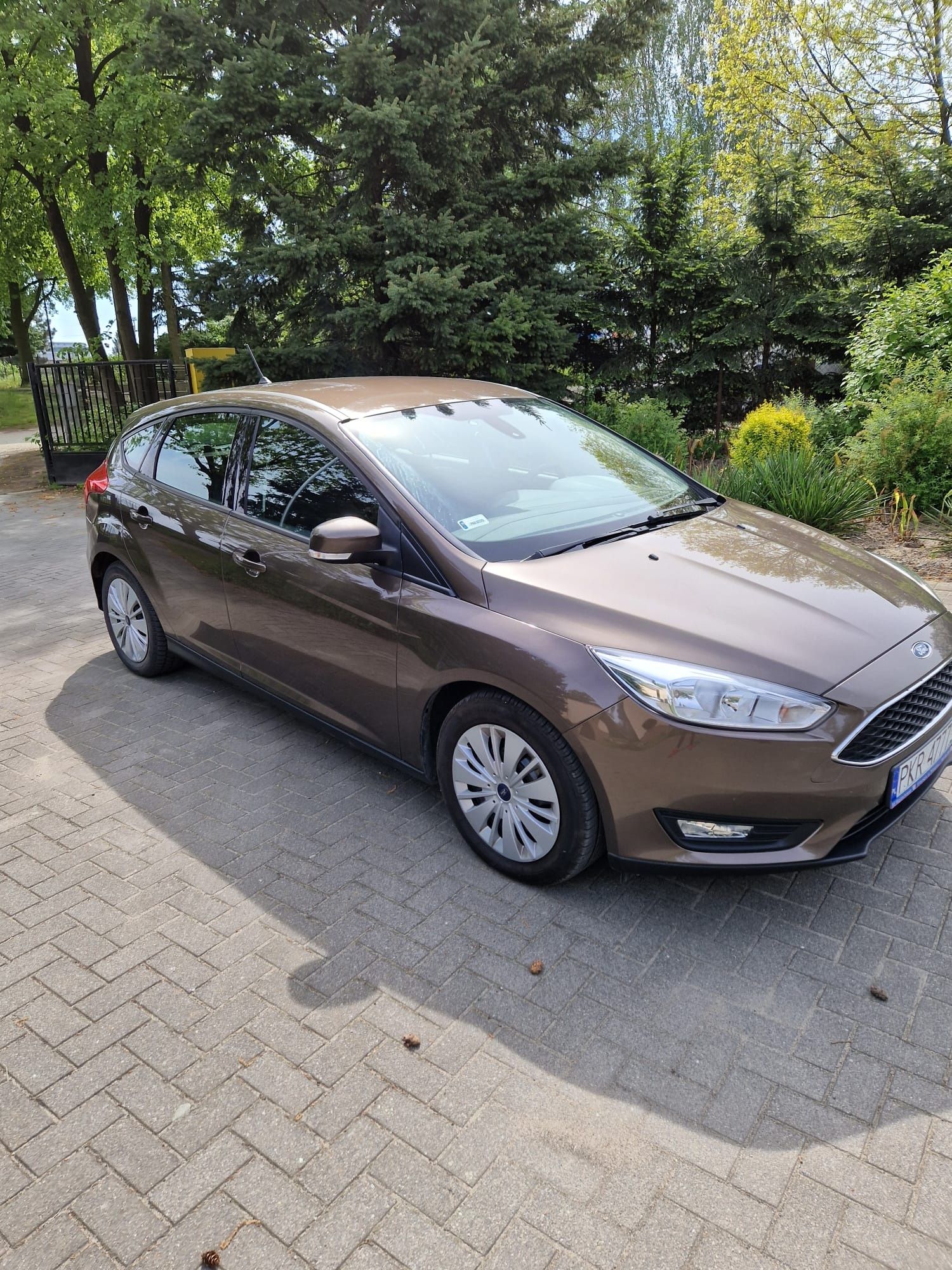 Ford Focus 1.6 Hatchback