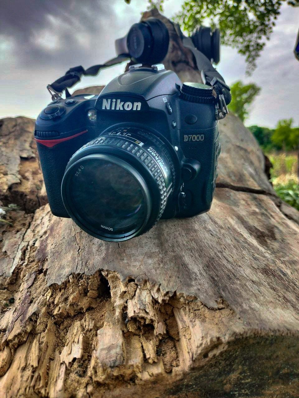 Фотоапарат Nikon d7000 с лучшим портретным объективом