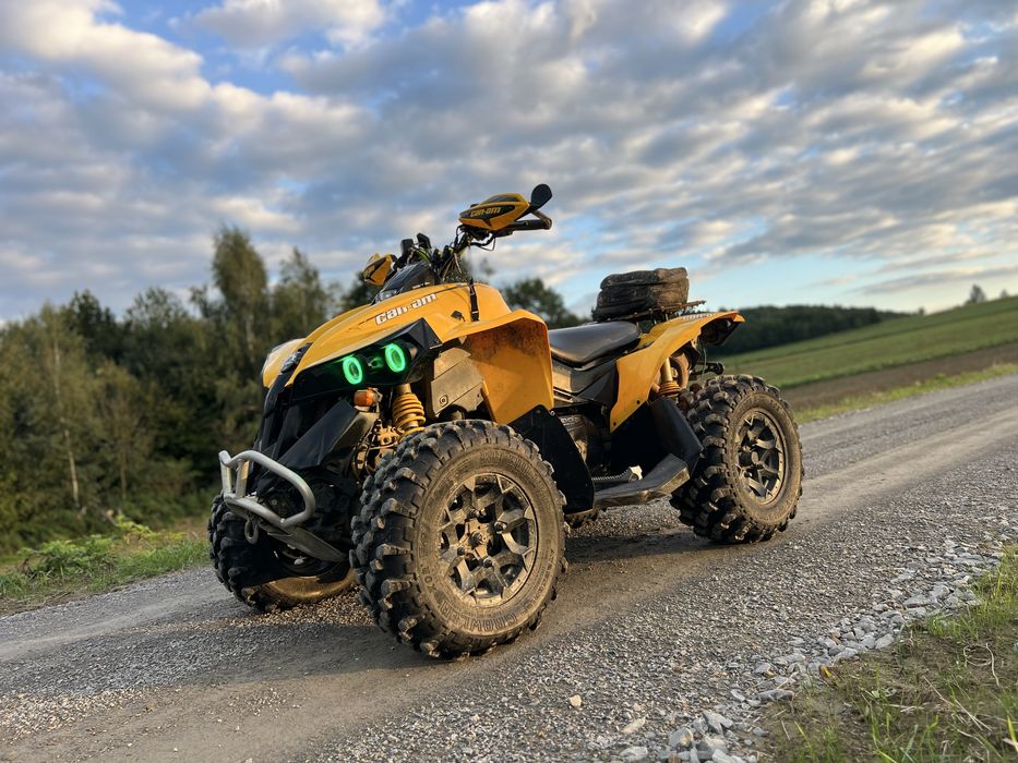 Can am renegade