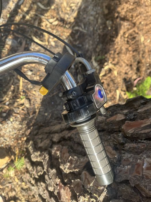 Bicicleta motorizada