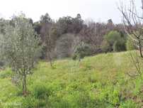 Quinta  para venda
