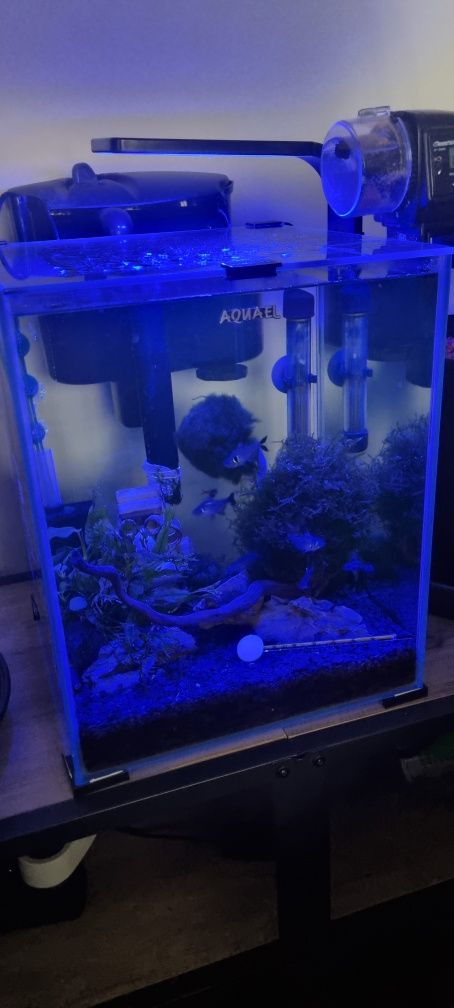 Zestaw Aquael Shrimp Set 30 l i wiele innych - polecam!