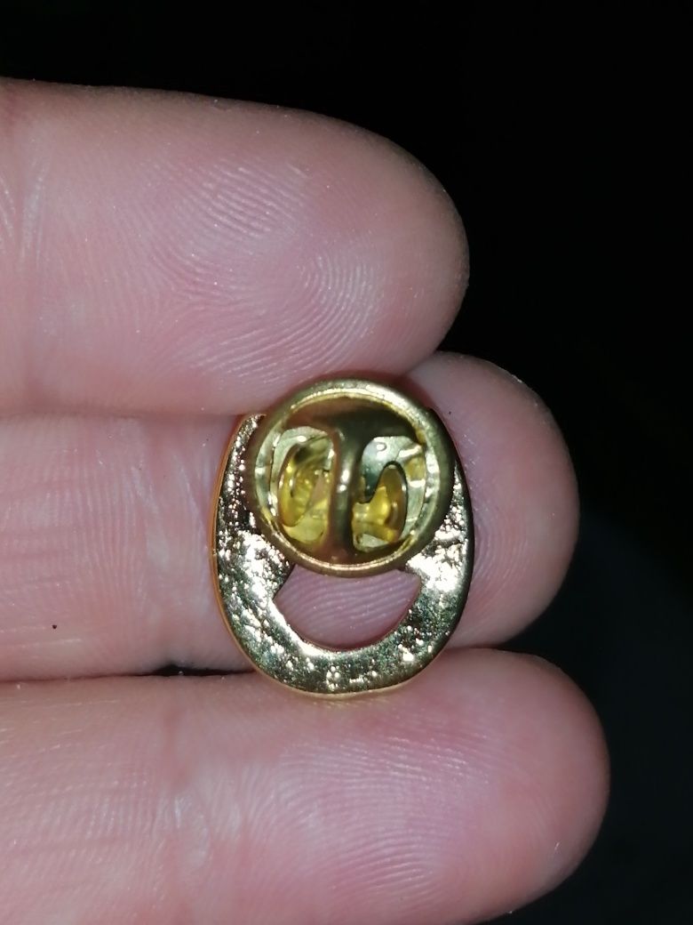 Pin de Ferradura e cabeça de cavalo