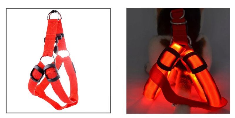 Świecące szelki dla PSA kota Szelki LED Czerwony S