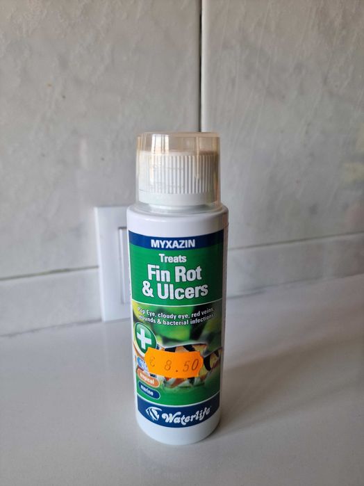 Aquário completo com tampa