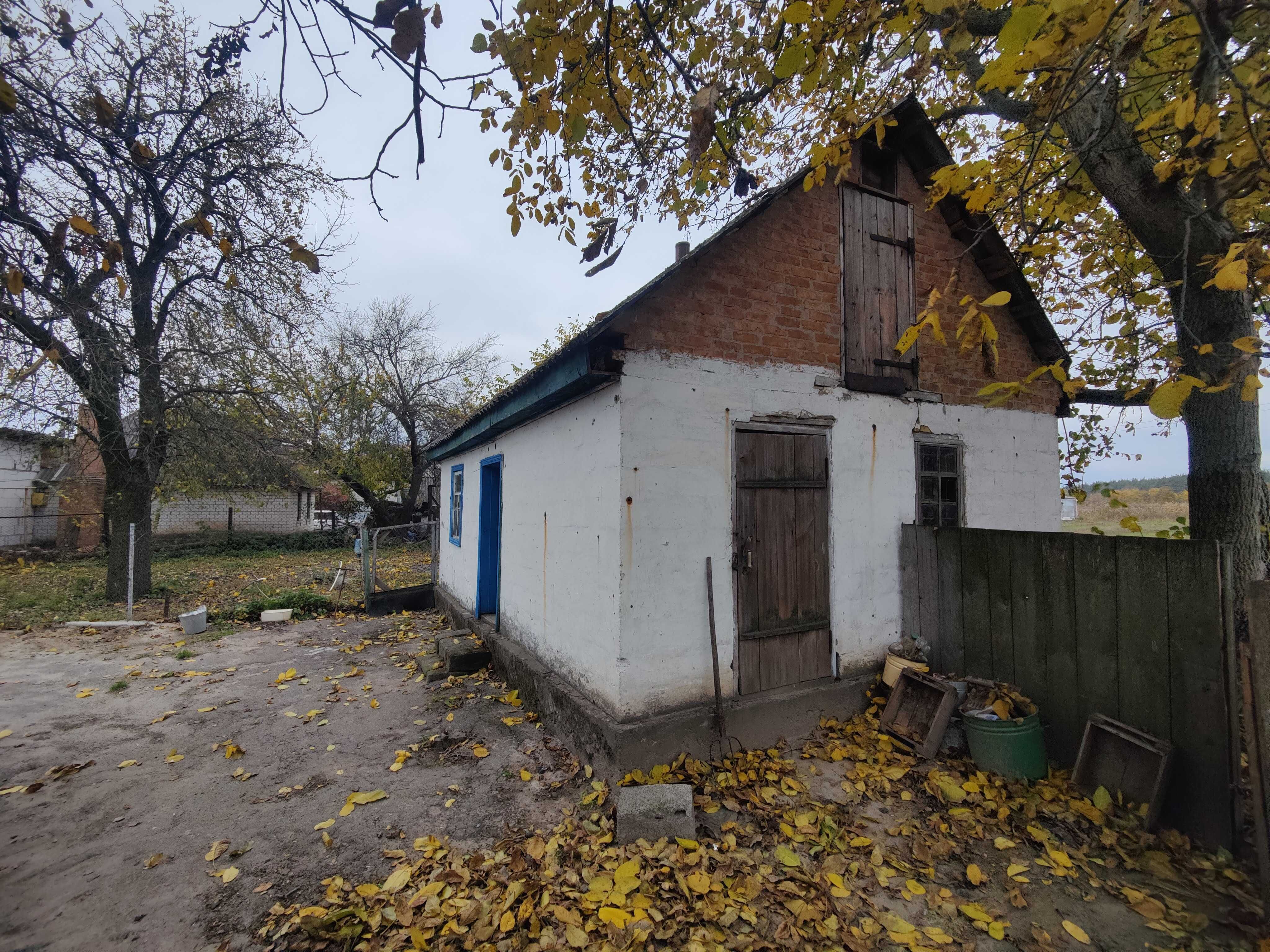 Продаж будинку в с.Руська Поляна біля лісу