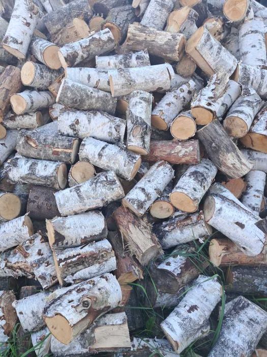 Drzewo,drewno opałowe,opał,kominkowe dąb, brzoza,akacja,sosna