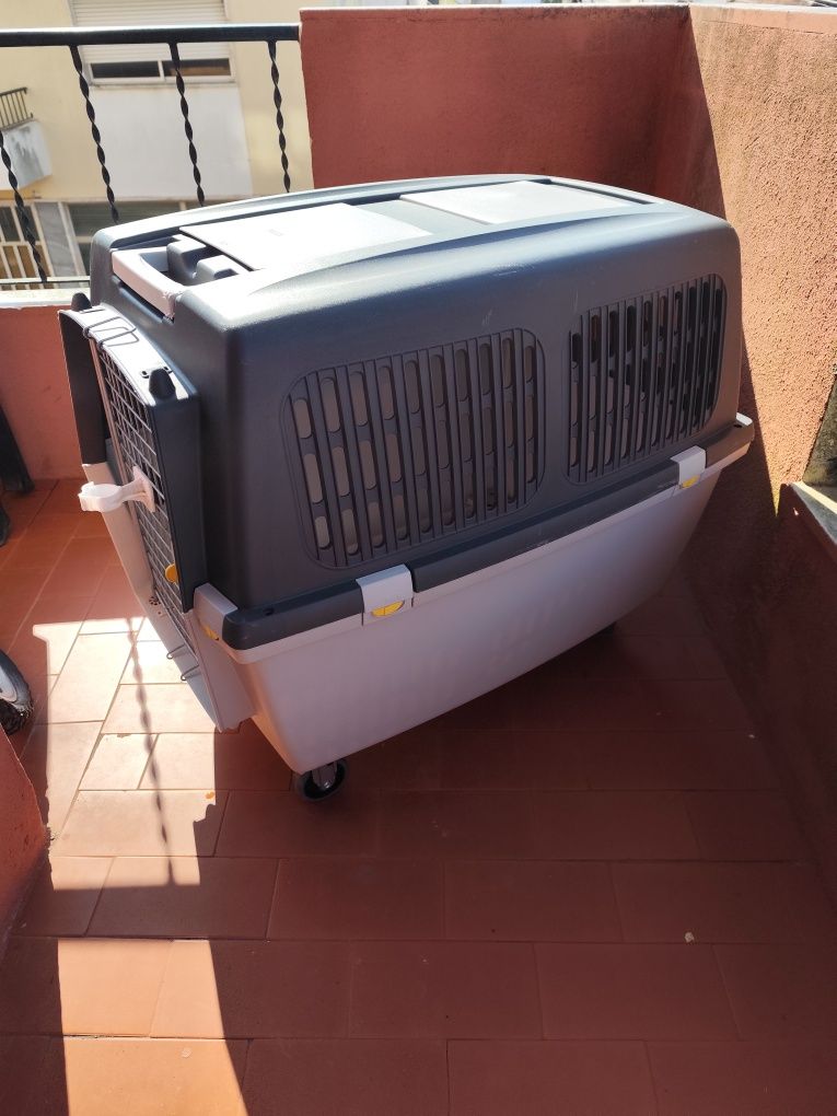 Caixa para transporte de animais