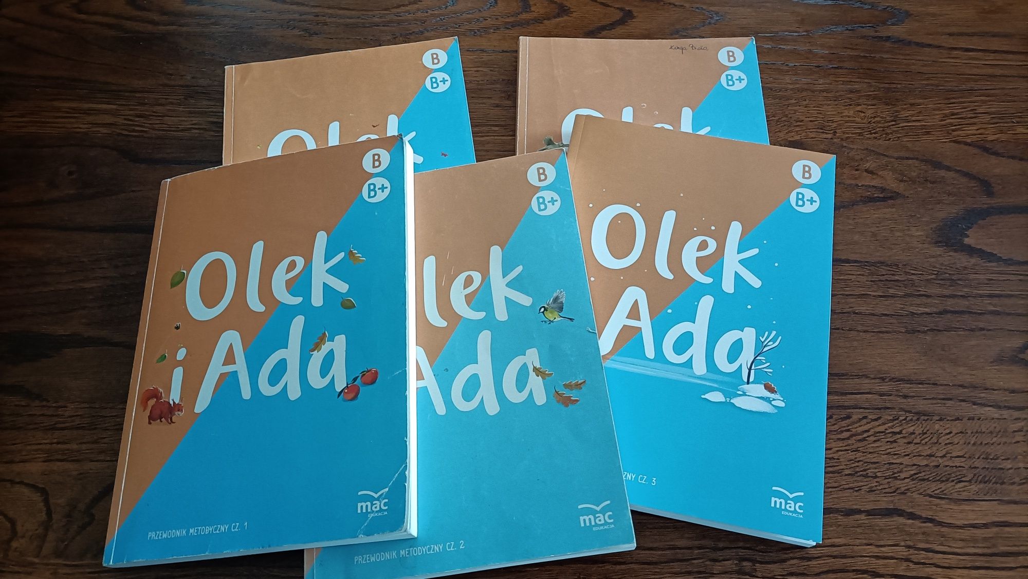 Olek i Ada przewodniki dla 5 6 latków