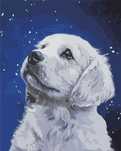 Malowanie po numerach - Labrador 40x50cm. Hobby-maniak.pl