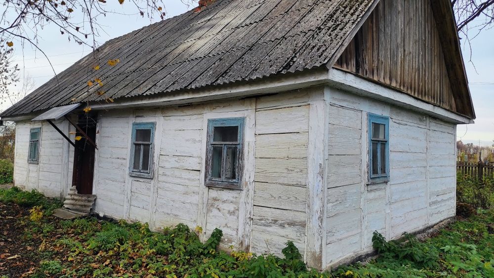 Приватний будинок Дача с. Колом'є