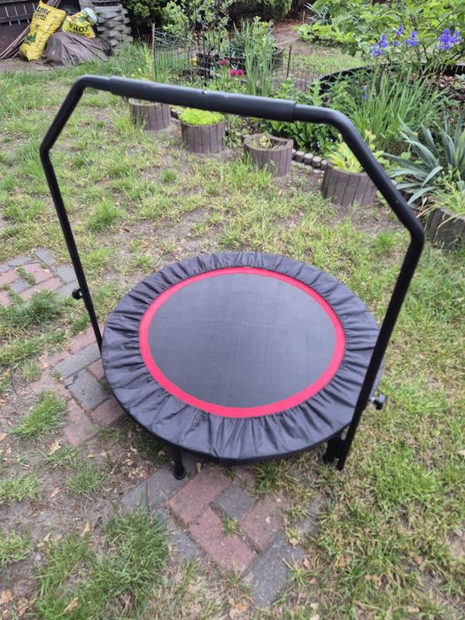 Trampolina ogrodowa domowa 100 cm z regulowaną poręczą do 100kg