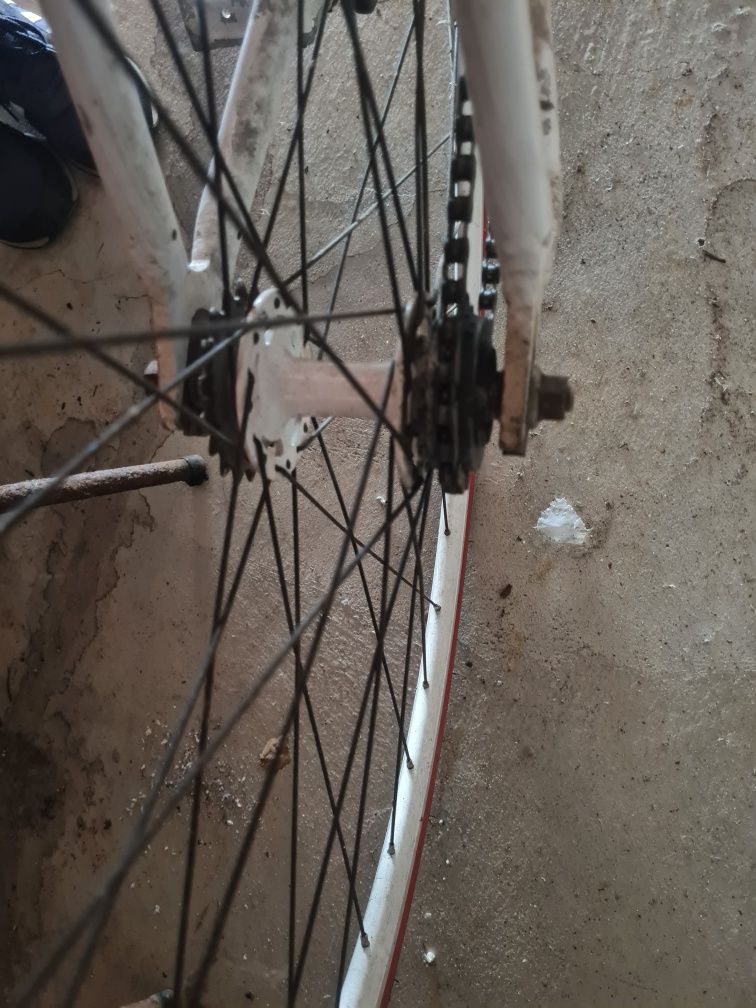 Bicicleta de ciclismo roda livre