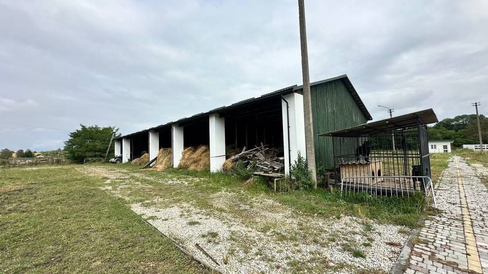 Продаж унікальної нерухомості неподалік Івано-Франківська