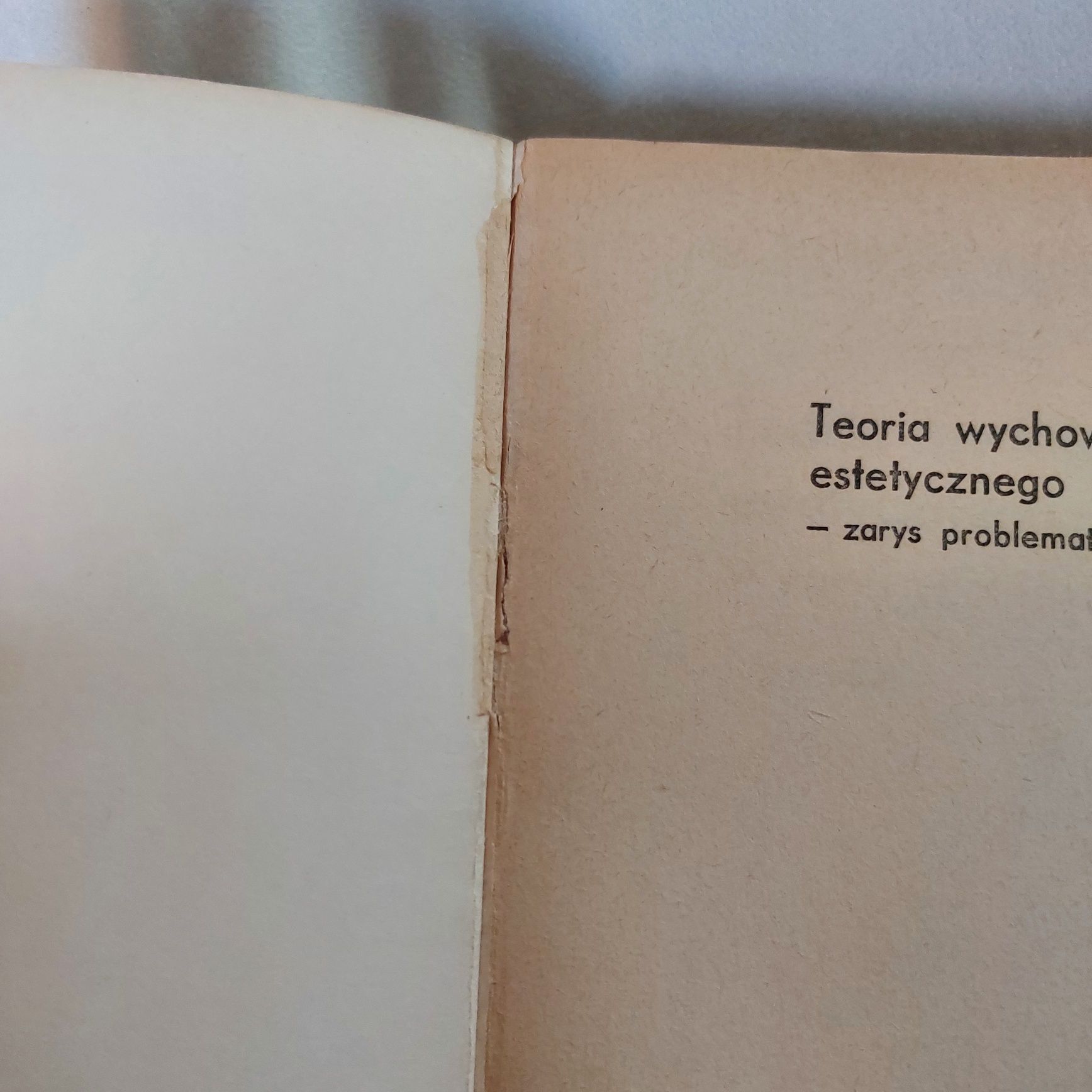 Irena Wojnar Teoria wychowania estetycznego - zarys problematyki