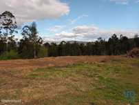 Terreno para construção em Reboreda e Nogueira de 3603,00 m2