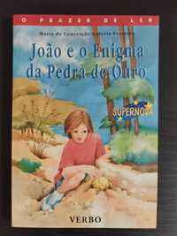 livro "João e o enigma da Pedra de Ouro"