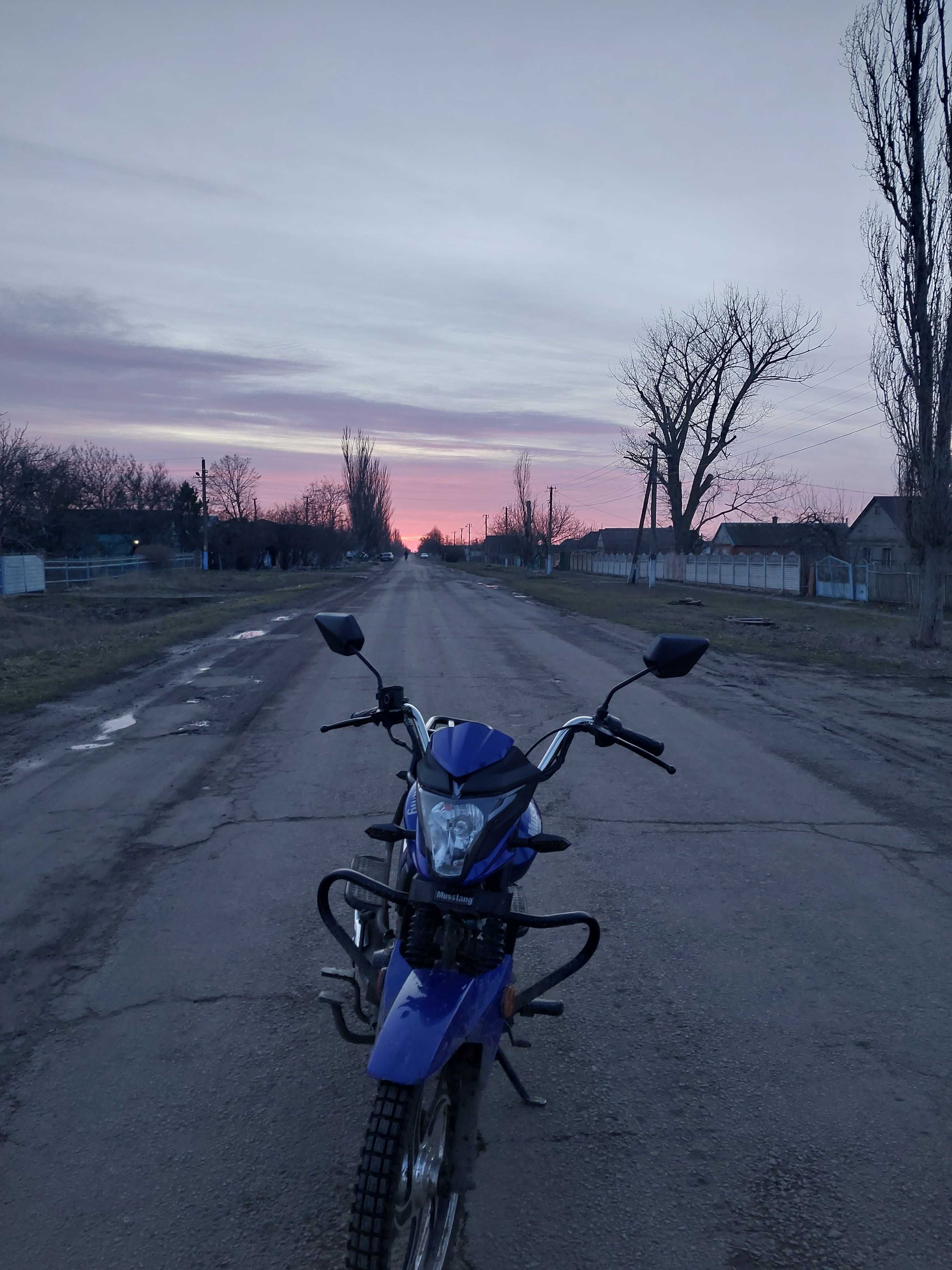 Альфа Мустанг фит 125
