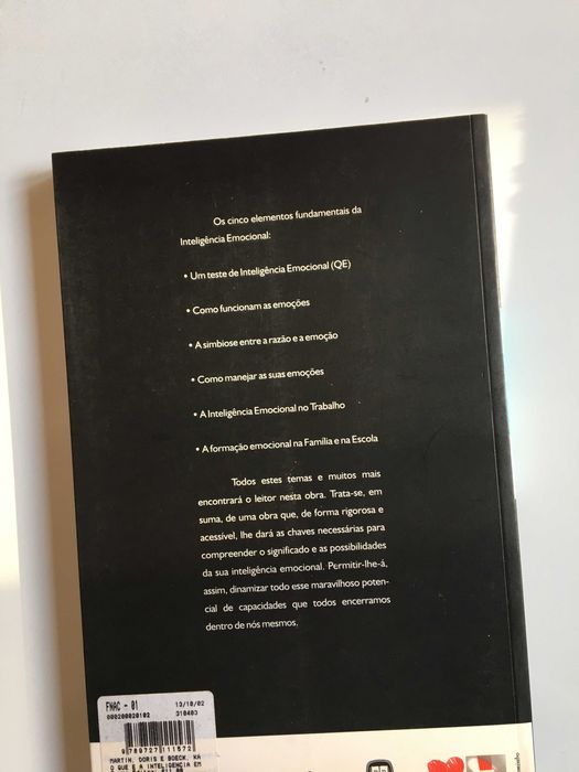 O que é a Inteligência Emocional   NOVO