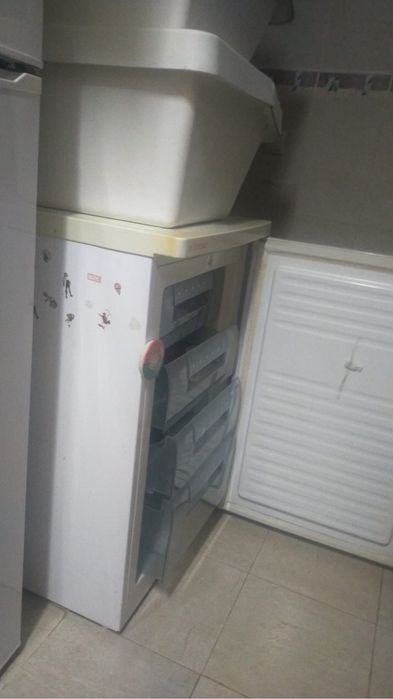 Arca congeladora