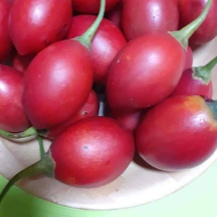 Tamarilhos - muito bons