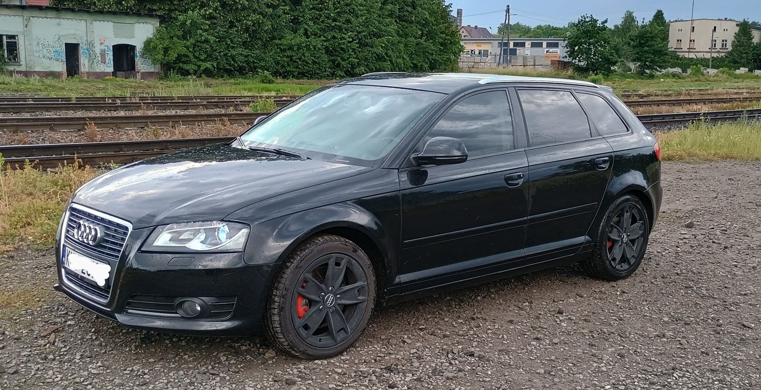 Audi A3 8P Quattro
