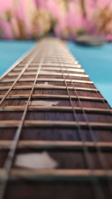 Електрогітара PRS SE custom 24 з чохлом +подарунок