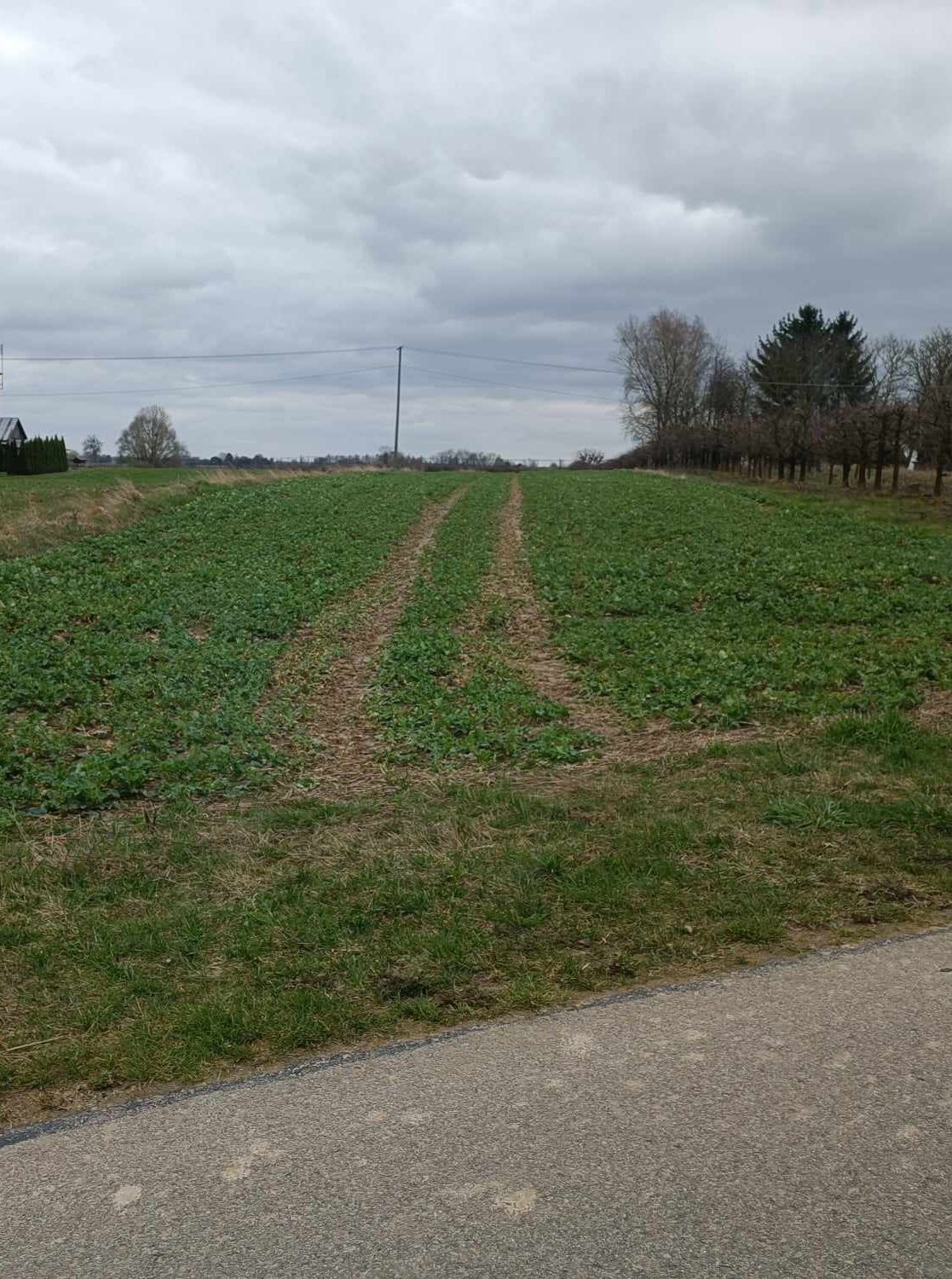 Działka budowlana w okazyjnej cenie.