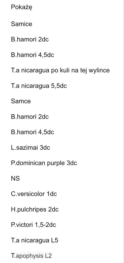 Oferta pająków, ptasznik
