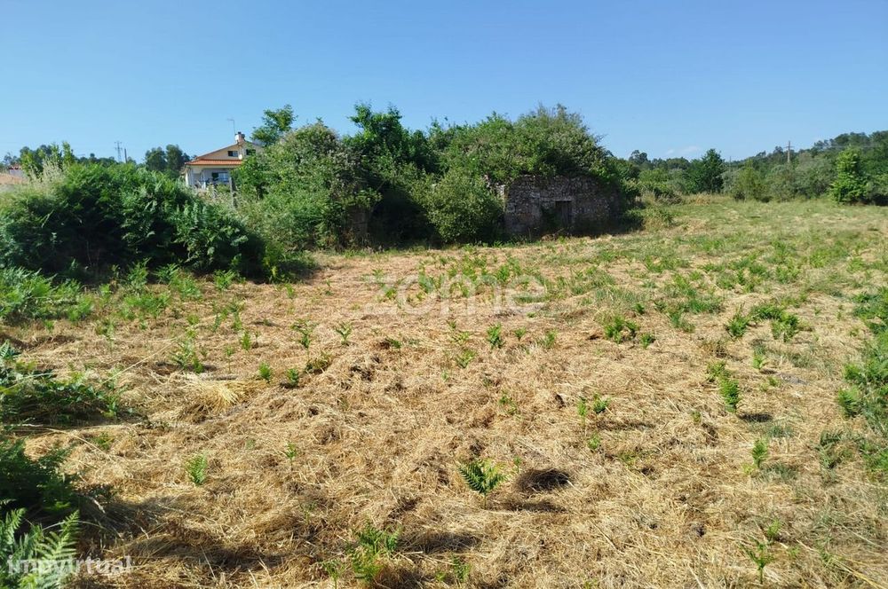 Terreno urbanizável em Vila Nova Do Campo