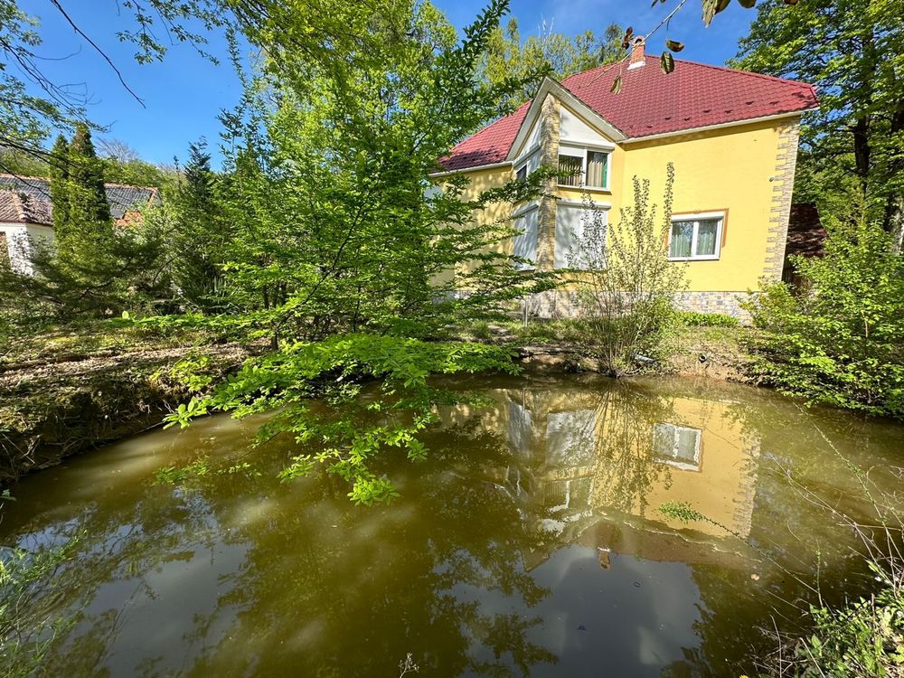 Будинок з озером біля лісу в м. Мукачево
