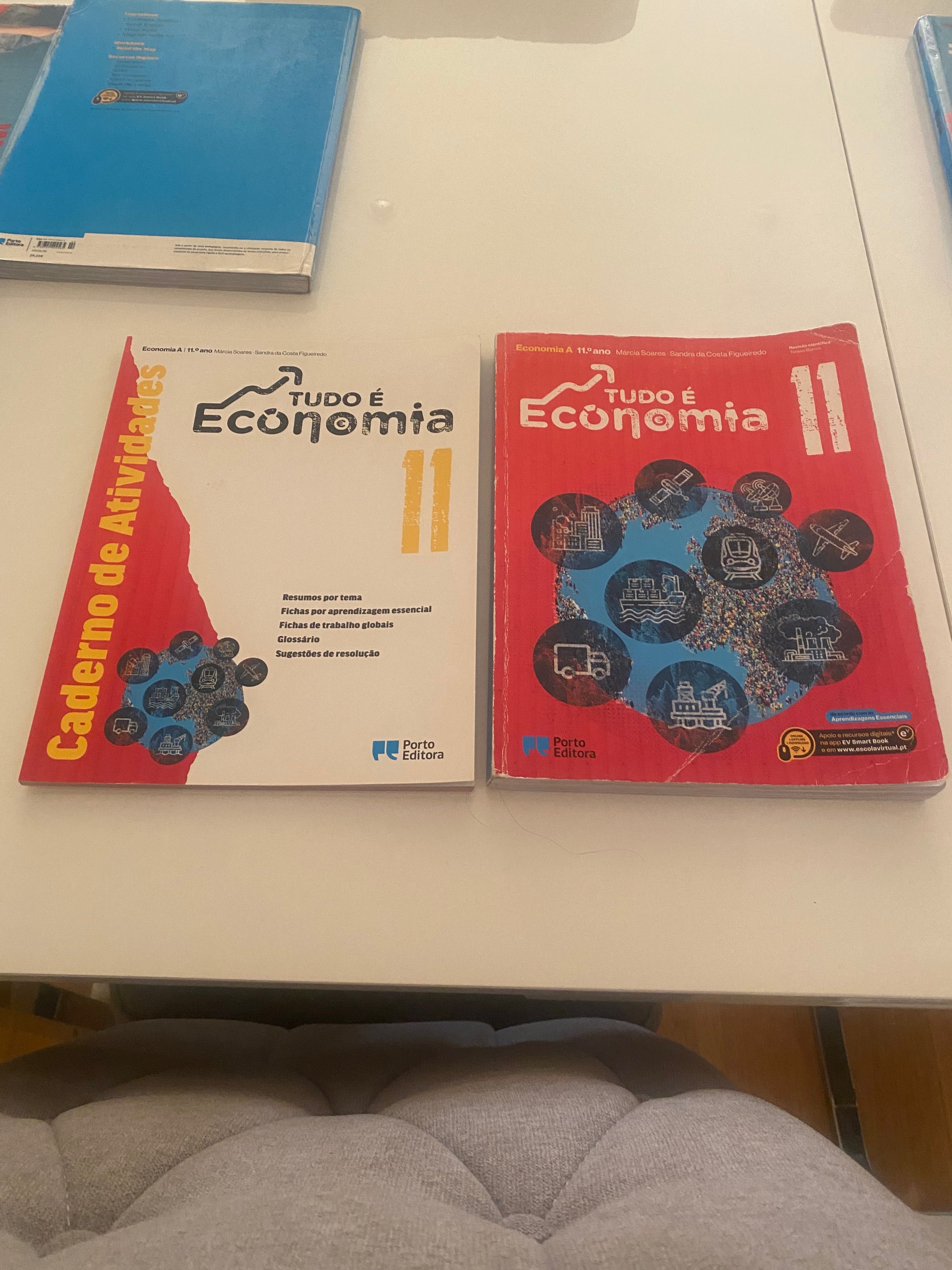Livros escolares 11. Ano
