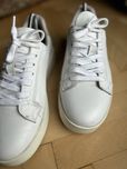 Skorzabe buty damskie | sneakersy Barbour klasyk