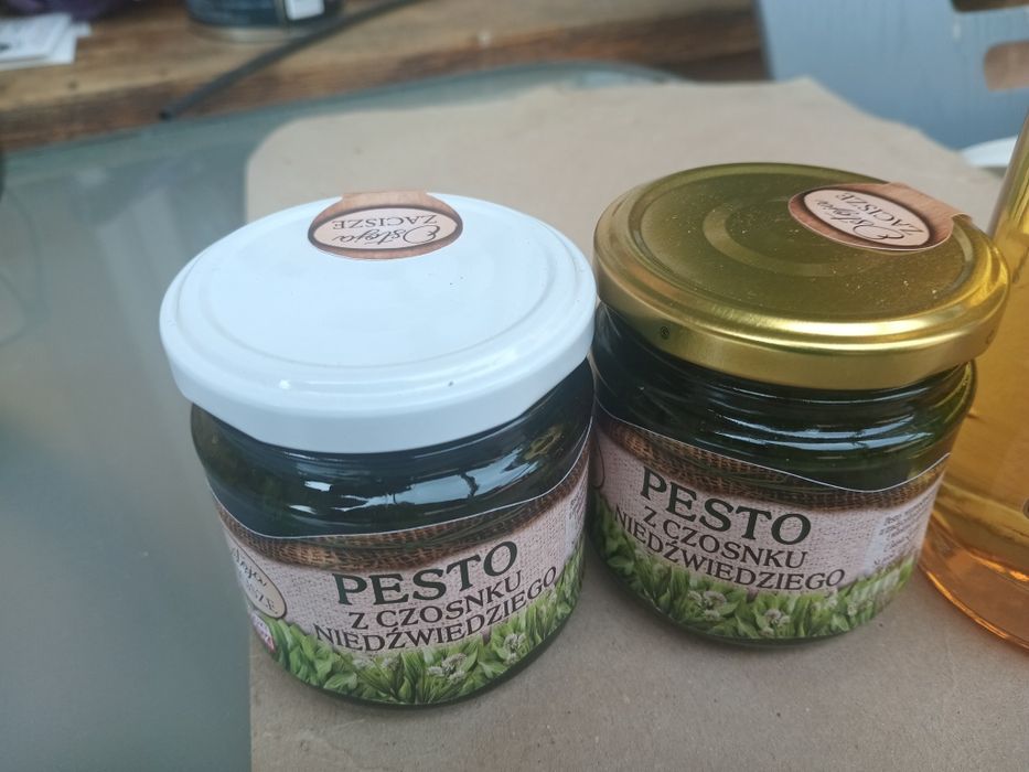 Czosnek niedźwiedzi