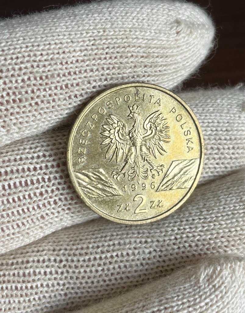 2 Złote Jeż 1996 NG Moneta