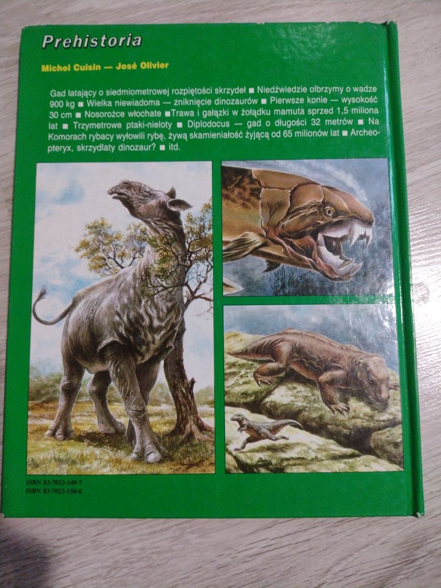 Książka dla dziecka o Dinozaurach