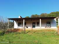 Terreno Rústico com Construção