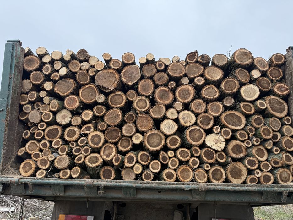 Дрова твердих порід