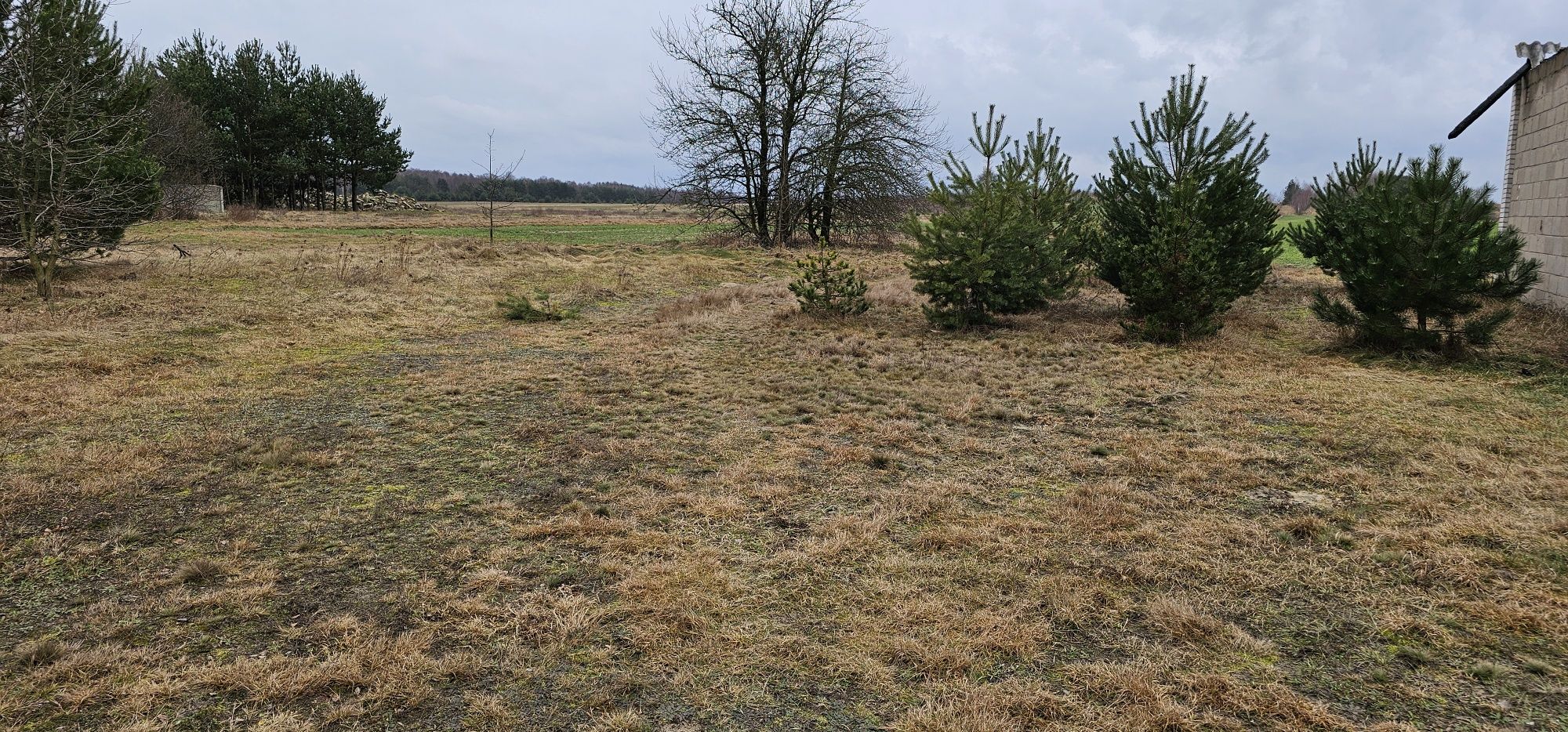 Sprzedam działkę o powierzchni 2 405m Mirów Stary