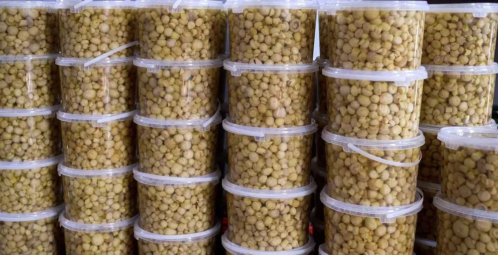 Печериці гуртом — свіжі, у лотках, консервовані, сорт 1-2, Шепетівка